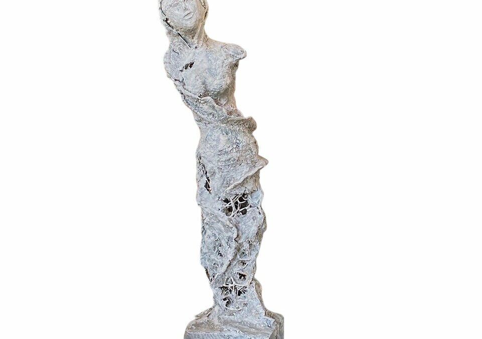 Phéophycée – Vendu